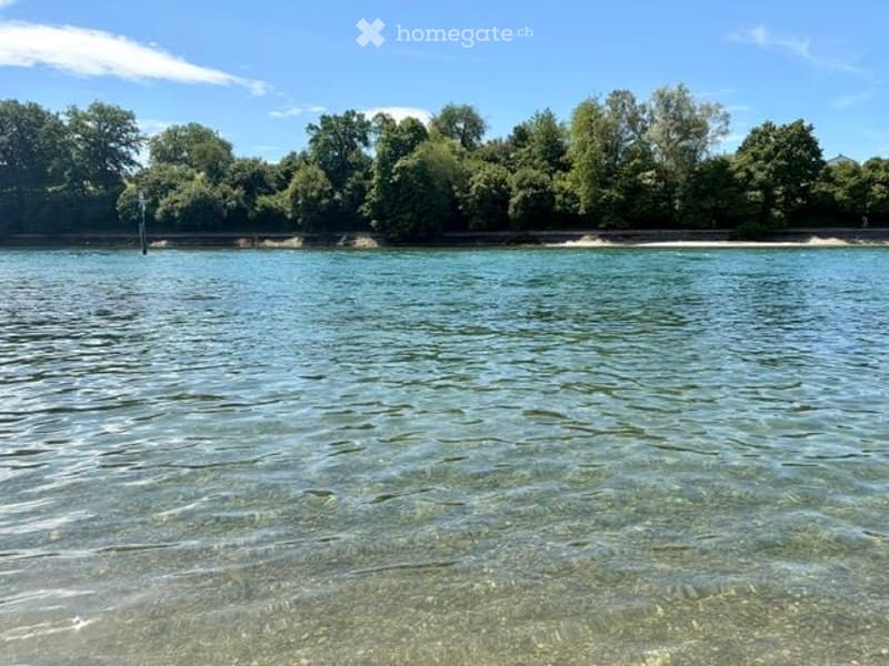 A serene lakeside view with calm, clear water and a tree-lined shore under a bright blue sky.