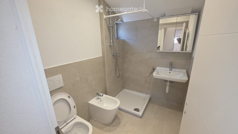 Modern bathroom with a toilet, bidet, sink, mirror, and a shower area with a handheld showerhead.