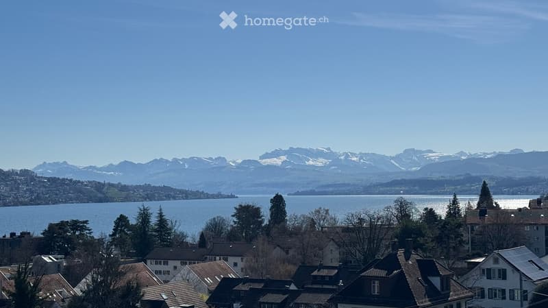A scenic view of a town with houses, trees, and a lake surrounded by snow-capped mountains under a clear blue sky.