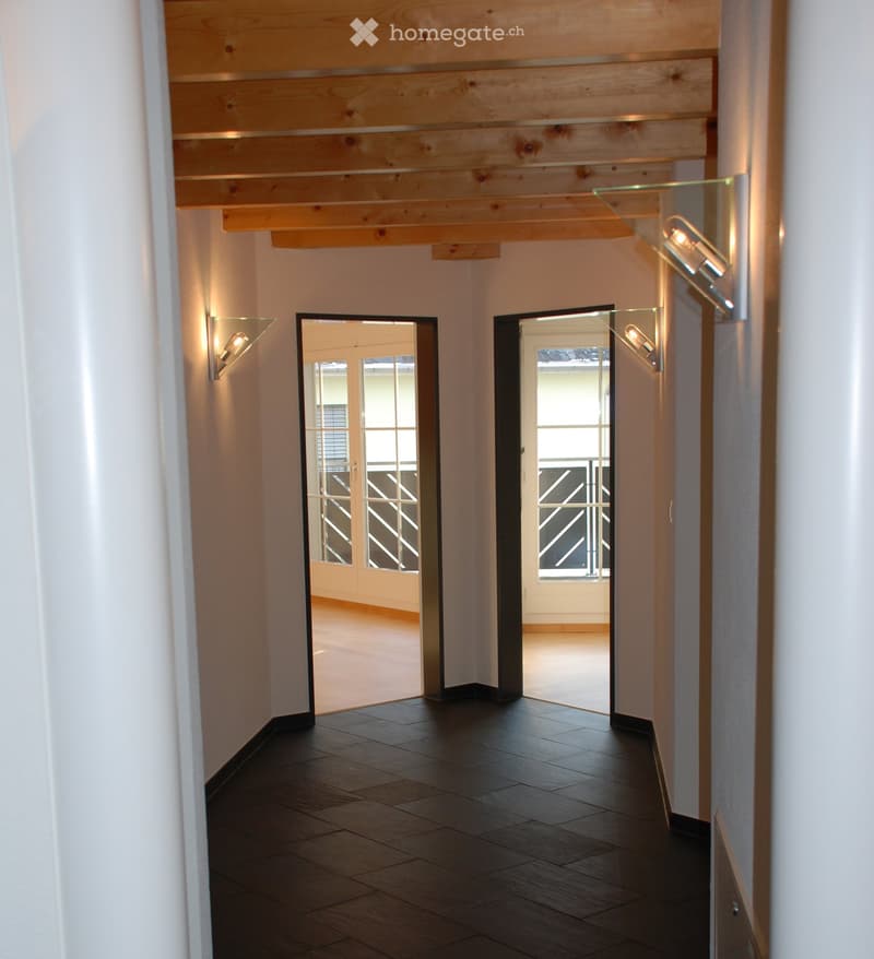 Modern hallway with dark wooden flooring, white walls, and glass-paneled doors leading to open spaces.