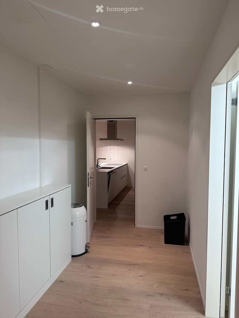 Charmante 2.5-Zimmer-Terrassenwohnung an der Witikonerstrasse in Zürich sucht Nachmieter per sofort (3)