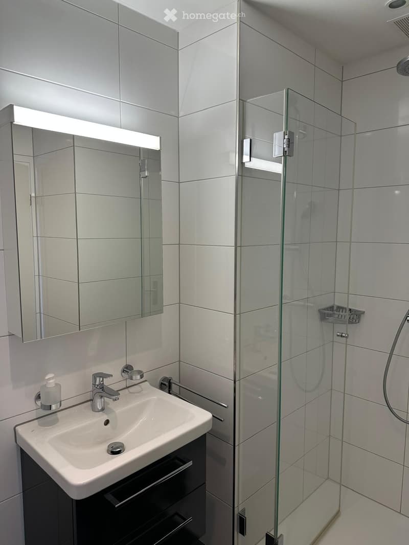 Modern bathroom with a white sink, chrome faucet, mirrored cabinet, and a glass-enclosed shower with a handheld showerhead.