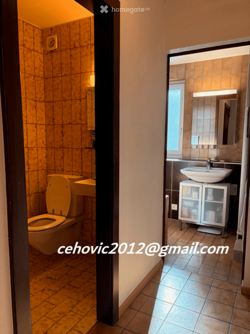 Bathroom with a toilet, sink, mirror, and cabinet. The walls are tiled in a warm, earthy tone, and the floor is tiled in a matching color.