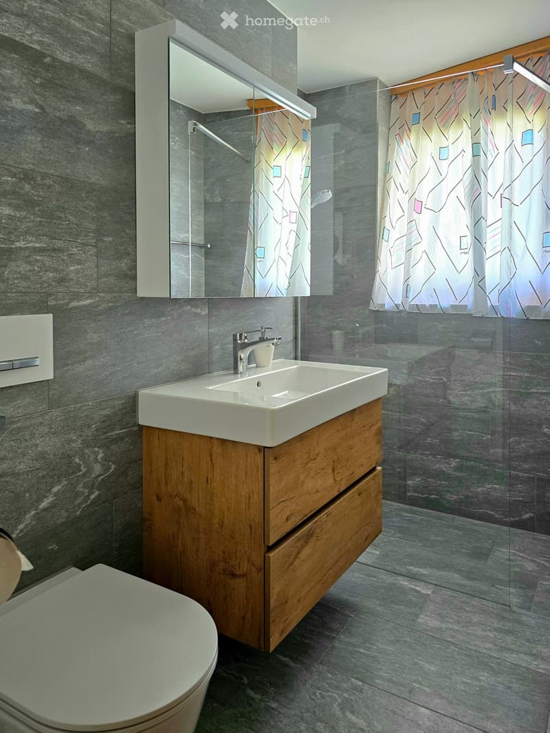 Modern bathroom with a white sink, wooden cabinet, chrome faucet, large mirror, and a toilet. The walls are covered in dark grey tiles, and a glass shower enclosure with a colorful curtain is visible.