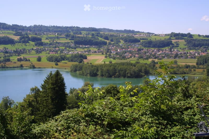 A scenic view of a town nestled in a valley surrounded by lush green hills and a lake. The landscape features a mix of residential buildings, farmland, and dense forests.