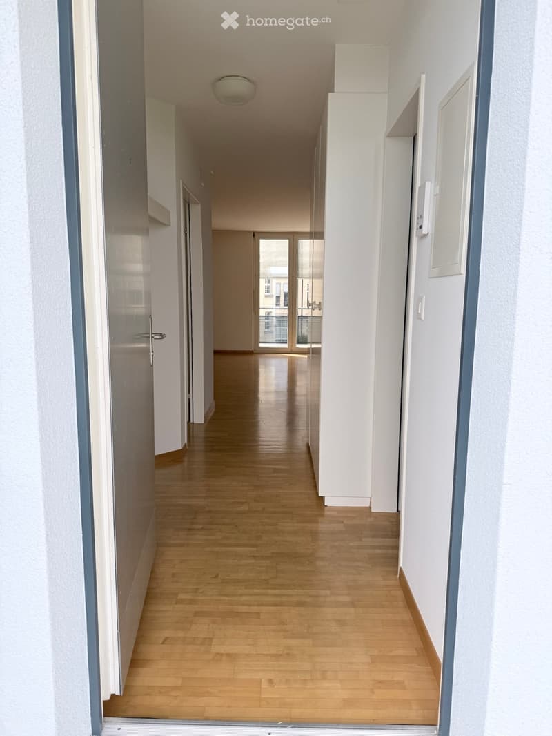 Empty hallway with light wooden flooring, white walls, and a ceiling light fixture. The hallway leads to a glass door at the end.