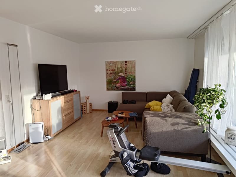 Living room with wooden flooring, a brown sofa, a coffee table, a television on a wooden cabinet, an exercise bike, and a potted plant near the window.