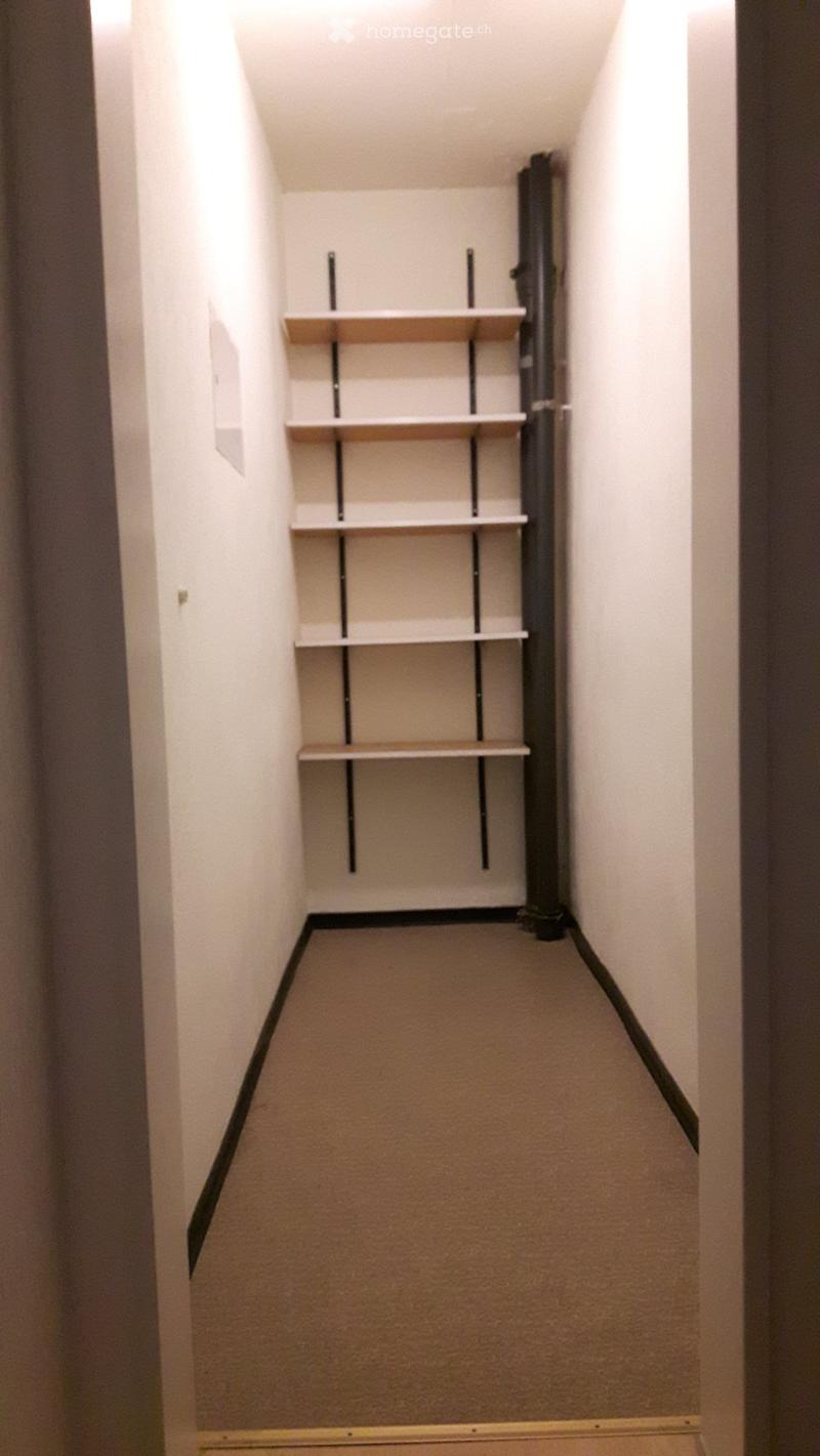 Empty hallway with white walls, carpeted floor, and built-in shelving unit with multiple empty shelves.