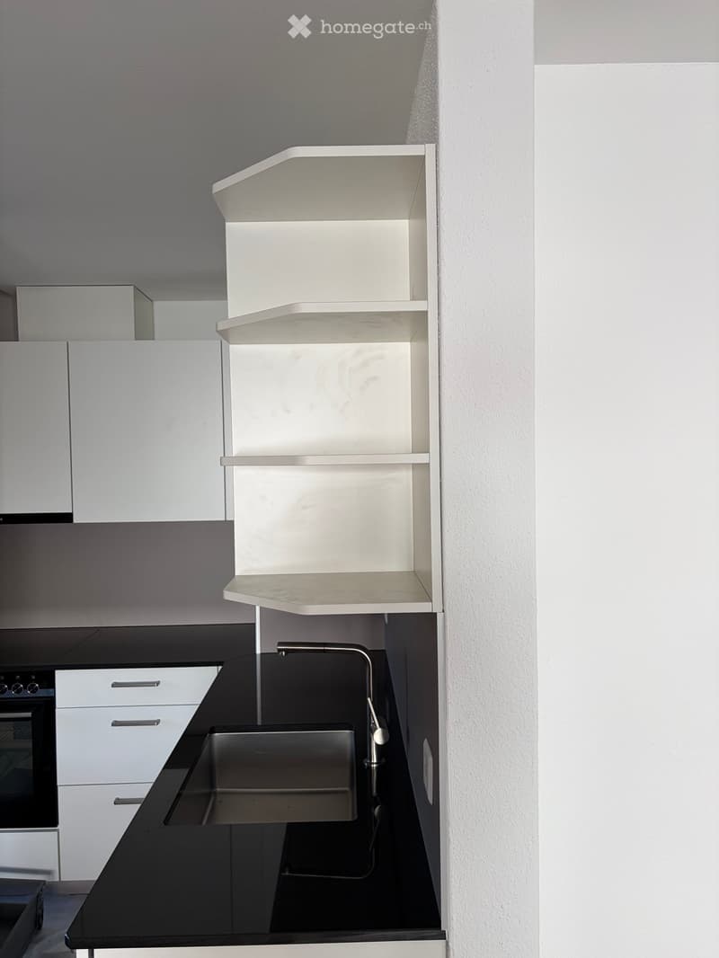 Modern kitchen with white cabinets, black countertop, stainless steel sink, and built-in shelves.