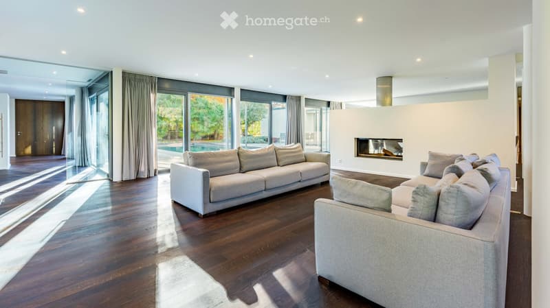 Modern living room with hardwood flooring, large windows, fireplace, and two sofas.