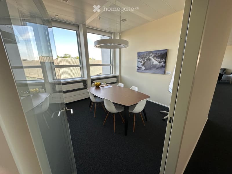 modern office meeting room with large windows, wooden table, white chairs, round ceiling lamp, picture on the wall, black carpet