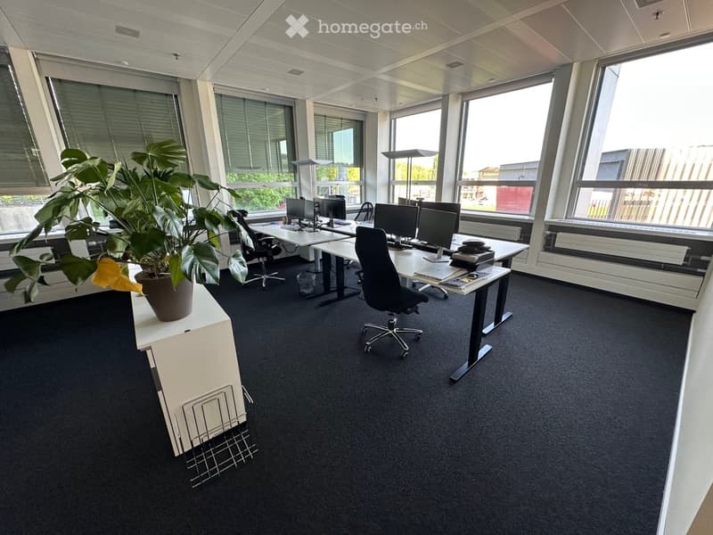 An empty office with two desks, chairs, and a plant. The office has large windows and a white ceiling.