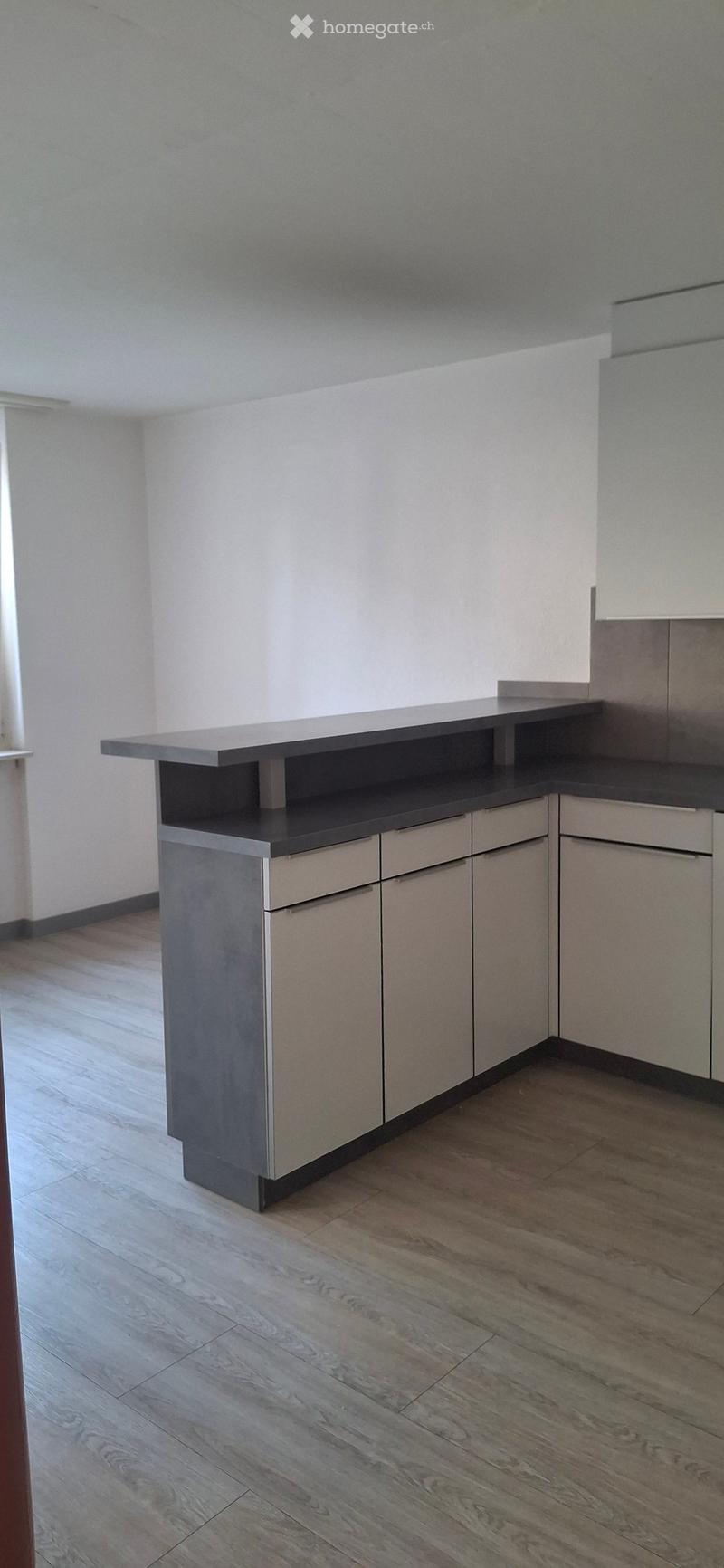 Empty kitchen area with modern cabinetry, a countertop, and wooden flooring.