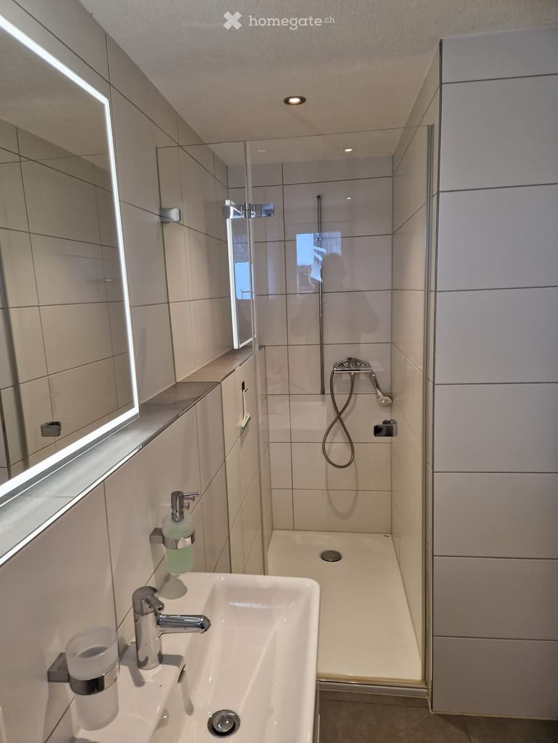 modern bathroom, white tiles, modern shower area, sink, mirror, bottle of soap, white lighting