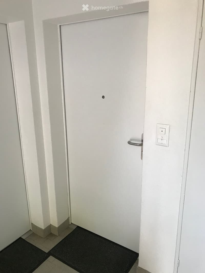A closed white door with a silver handle and a light switch panel on the adjacent wall. The floor is tiled with a small black doormat in front of the door.