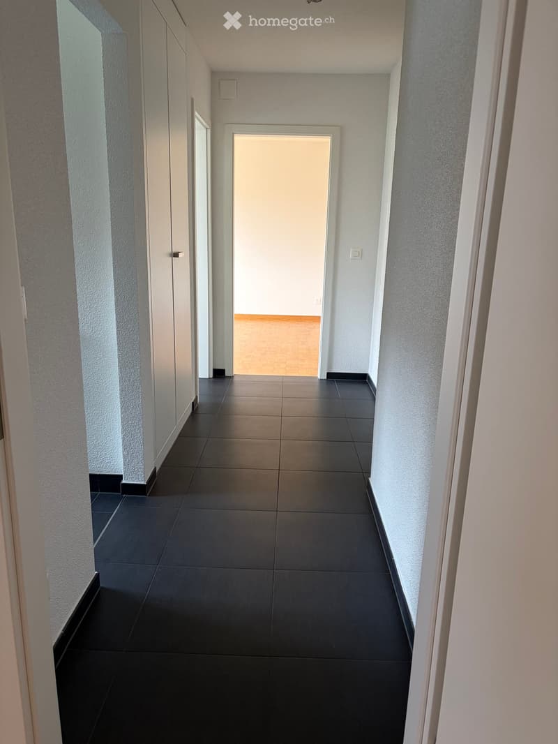 Clean, modern hallway with dark tiled flooring and white walls. Features a door at the end leading to another room with wooden flooring.