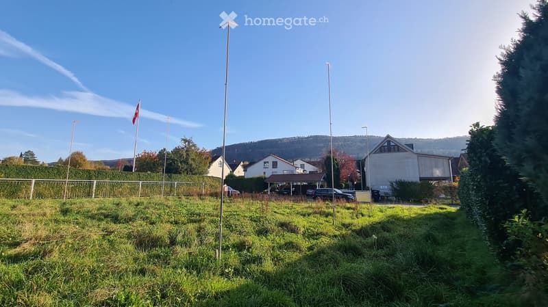 open grassy land, trees, several house in the background, fence and streetlight