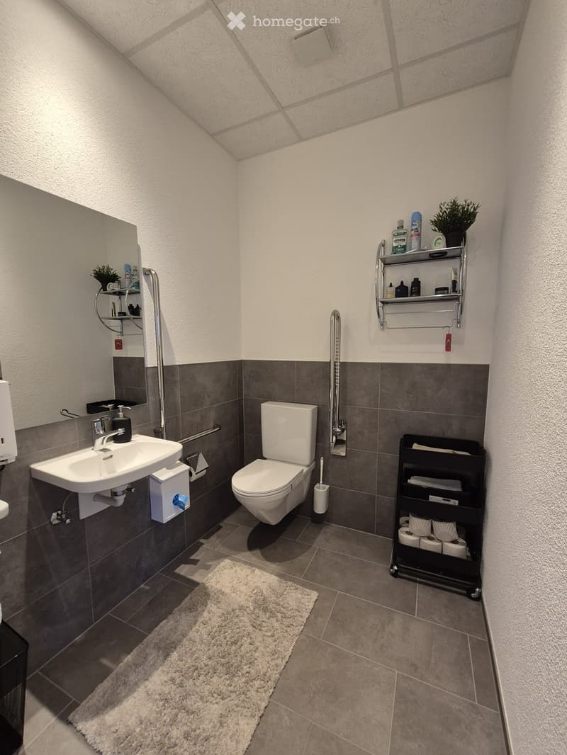 Modern bathroom with a toilet, sink, mirror, towel rack, and shelves holding toiletries and a small plant. The walls are tiled in gray, and a white rug is placed on the floor.