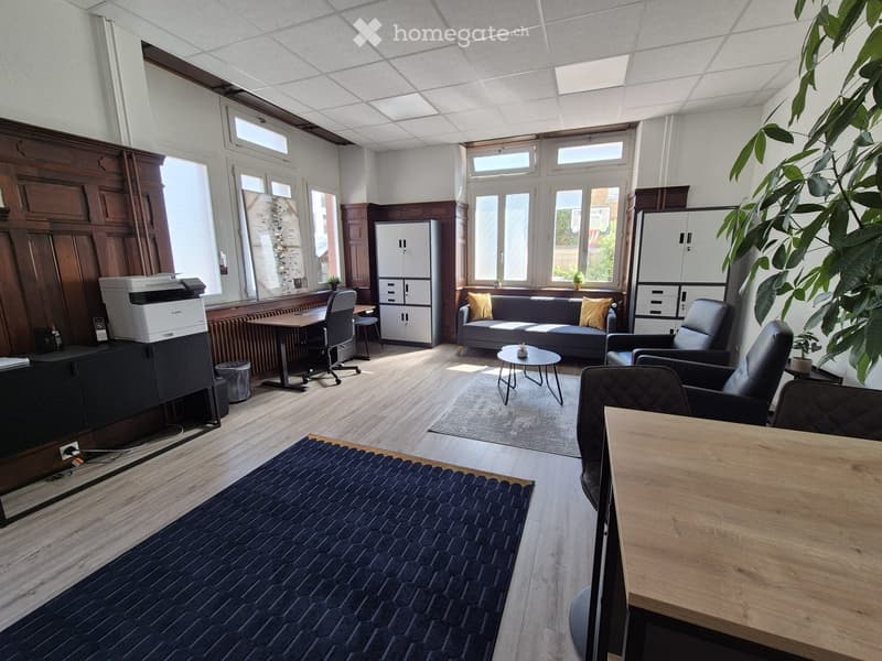 Bright, modern room with large windows, wooden flooring, and contemporary furniture including a sofa, chairs, a coffee table, a printer, and a cabinet.