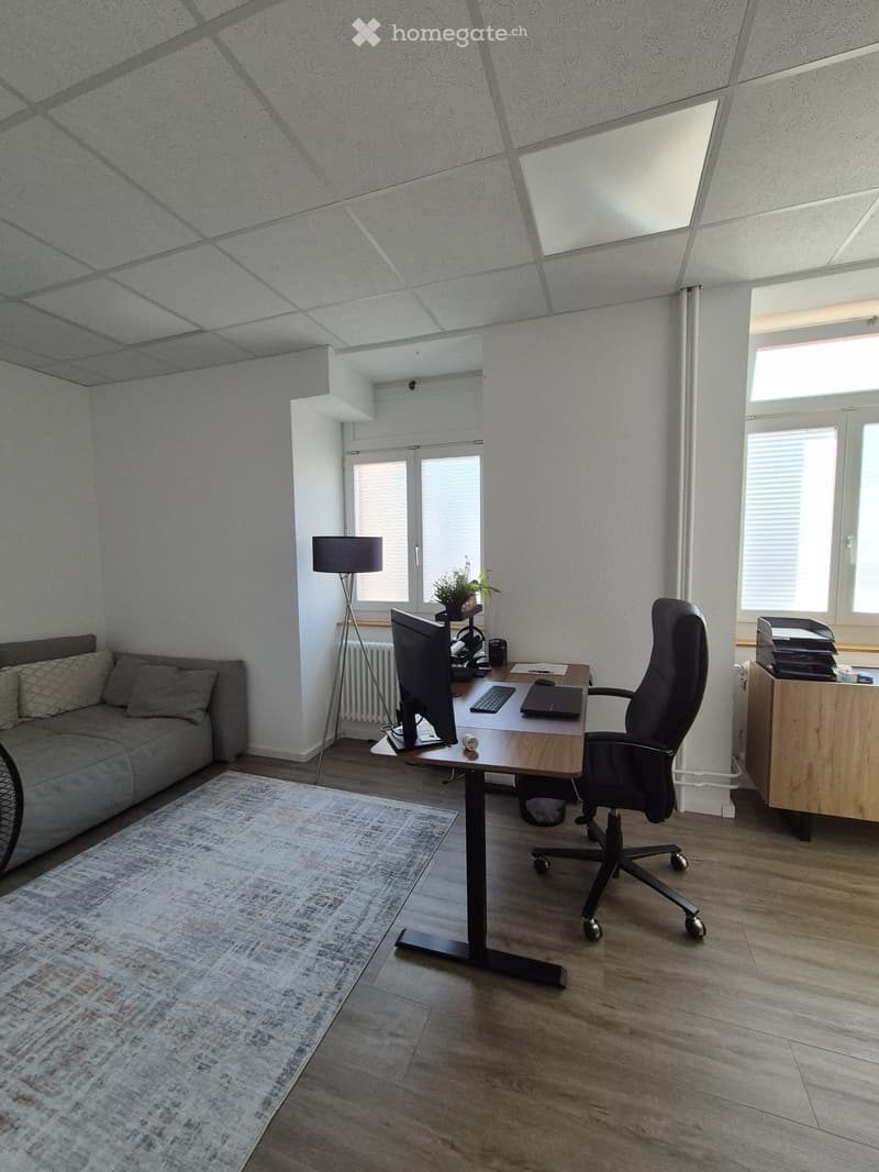 A modern, multi-functional room with a sofa, desk, and office chair. The space features a large window, a floor lamp, and a small plant on the desk.