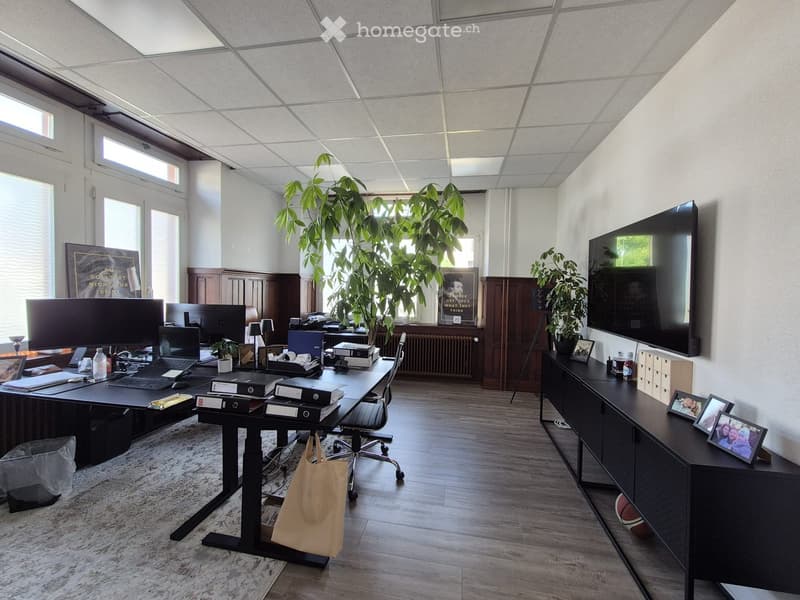 Modern office space with a large desk, multiple screens, office chair, cabinet, potted plants, and framed artwork on the walls.