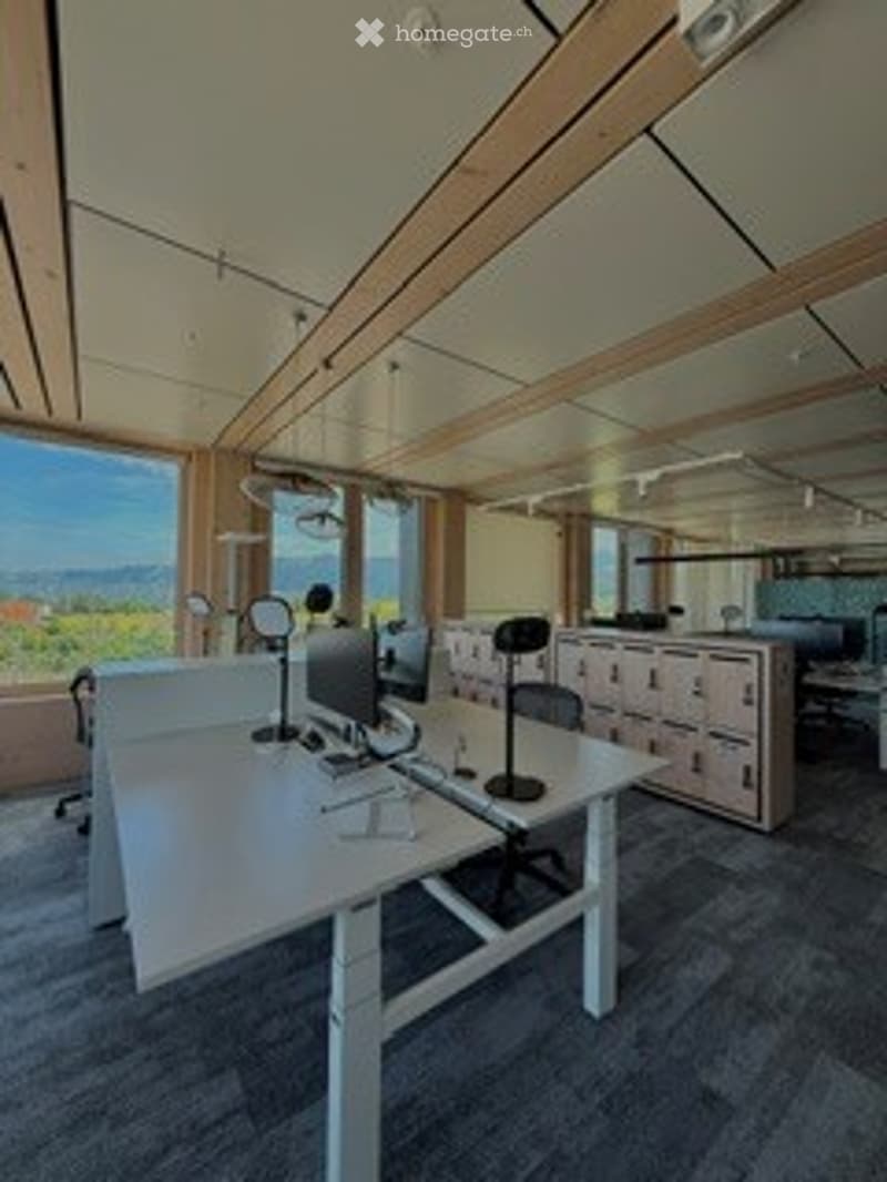 Bright, modern office space with large windows offering a scenic view, featuring desks, chairs, computers, lamps, and cabinets.