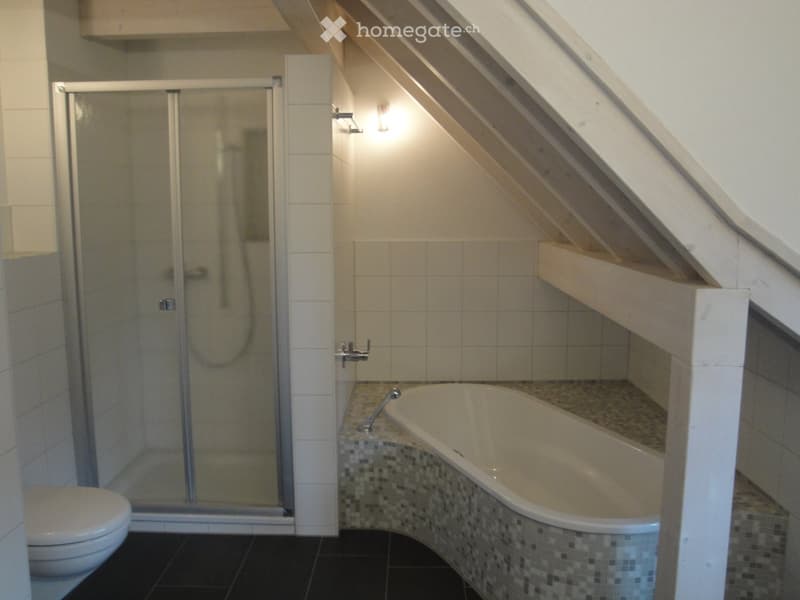 Modern bathroom with a corner bathtub, glass-enclosed shower, toilet, and sleek fixtures.