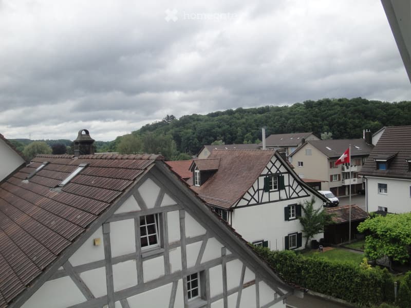 View of a residential area with traditional half-timbered houses, red-tiled roofs, and a Swiss flag, surrounded by greenery and hills under a cloudy sky.