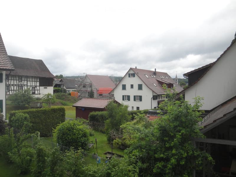 Residential neighborhood with houses, gardens, and greenery. Visible houses include a white house with green shutters and a red-tiled roof, a traditional half-timbered house, and other residential structures. The foreground shows a well-maintained garden