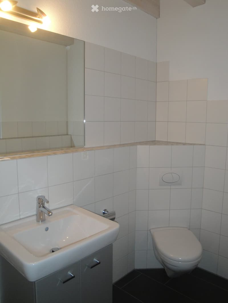 Modern bathroom with white tiled walls, a white sink with a chrome faucet, a large mirror, and a toilet. The floor is dark tiled.