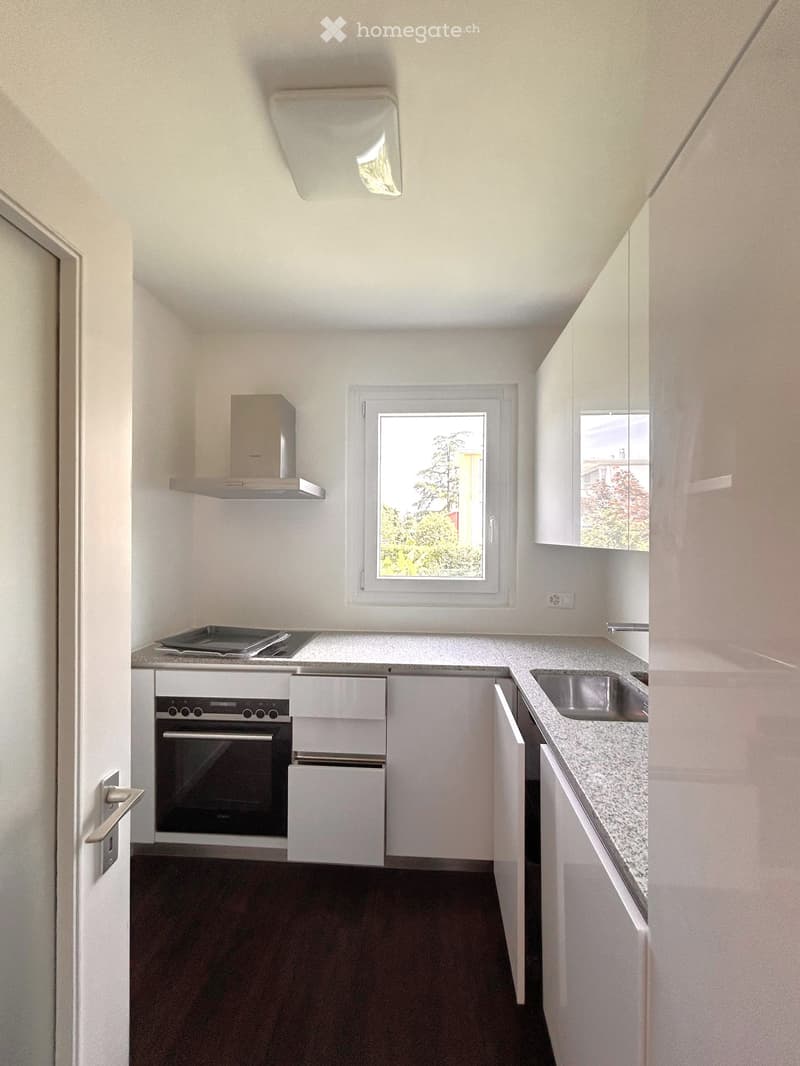 Modern kitchen with white cabinets, stainless steel sink, built-in oven, and range hood. Features a window with a view of greenery.