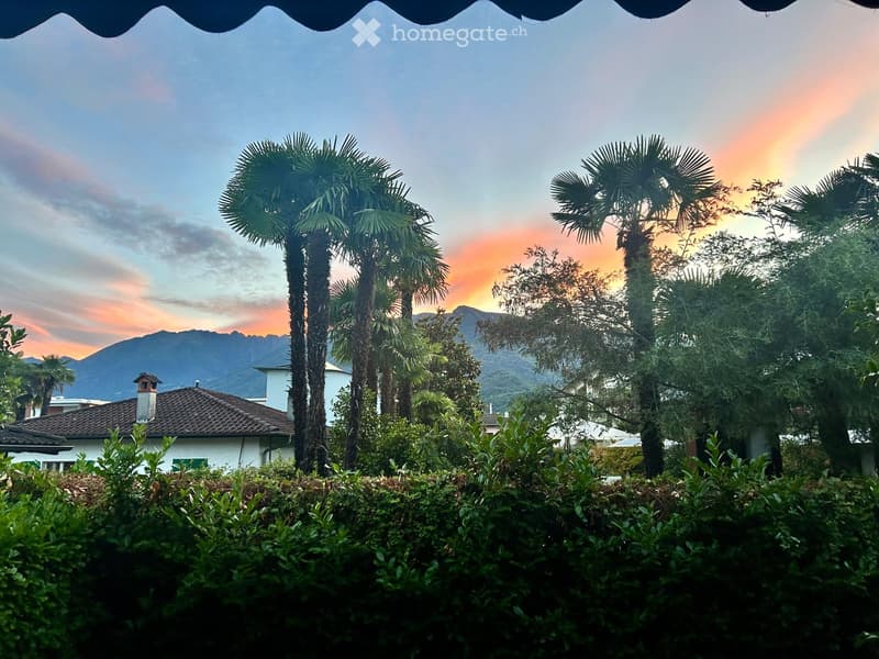 Garden with palm trees, bushes, and a view of mountains and a house in the background.