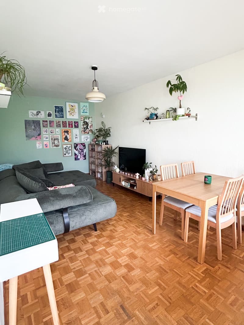 A modern living room with a grey sectional sofa, wooden dining table with chairs, television, shelves with plants and decorative items, and artwork on the walls.
