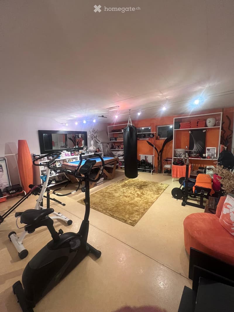 Room with gym equipment such as treadmill, stationary bike, weight bench, punching bag, mirror, shelves, carpet, billiard table, ottoman, and lamps