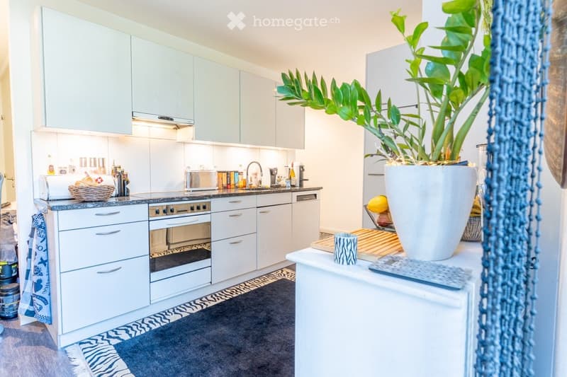 Modern kitchen with white cabinets, black countertops, stainless steel appliances including a dishwasher, and a potted plant on the counter. The kitchen also has blue patterned curtains and a rug on the floor.