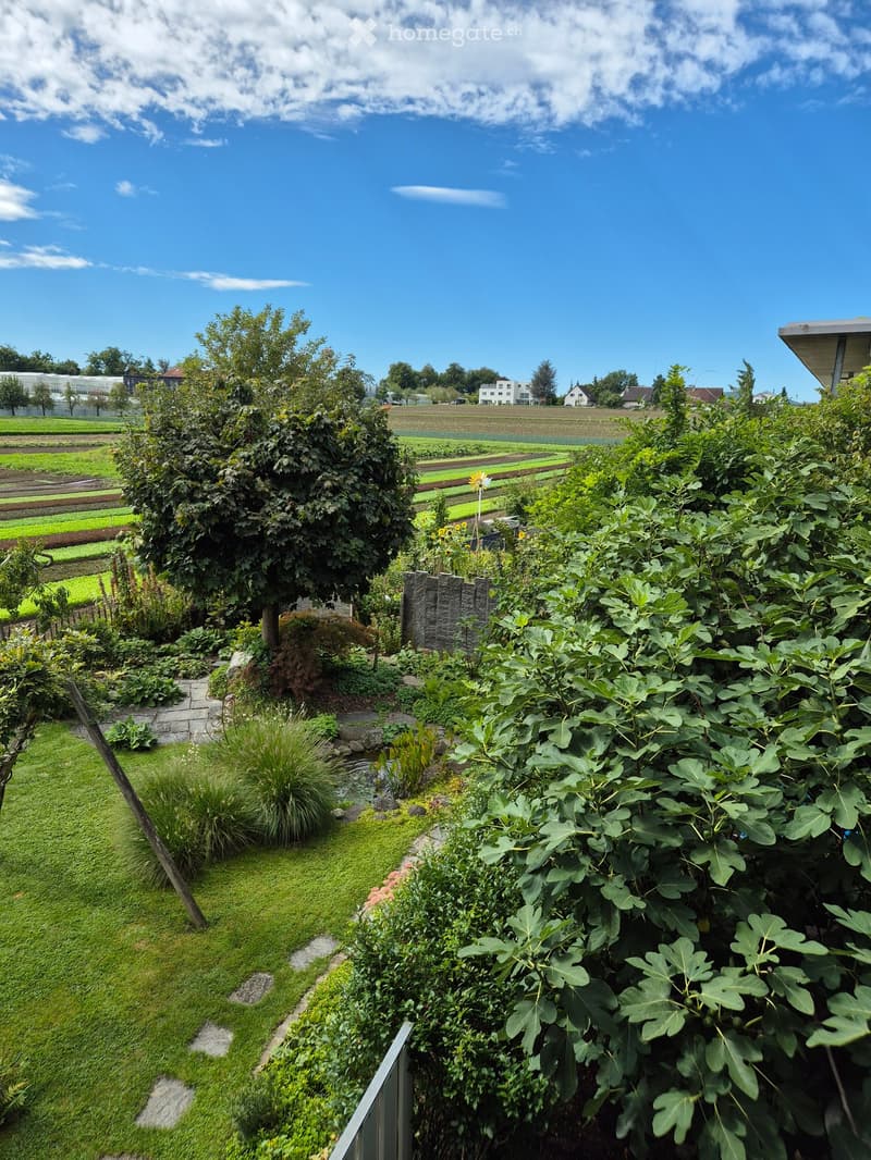 Well-maintained garden with various plants and trees, a stone pathway, a small pond, a field in the background, a building, and a fence