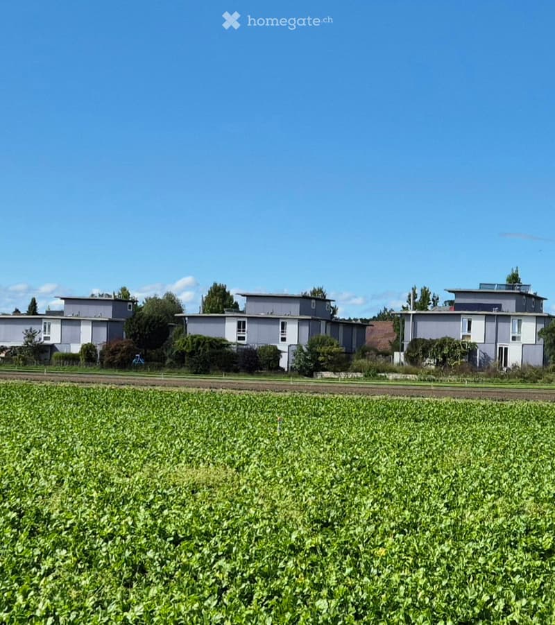 Three modern houses, situated on the edge of a farmland, each having a solar panel system