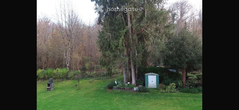 Well-maintained garden with a lawn, trees, a small shed, and a bird statue.