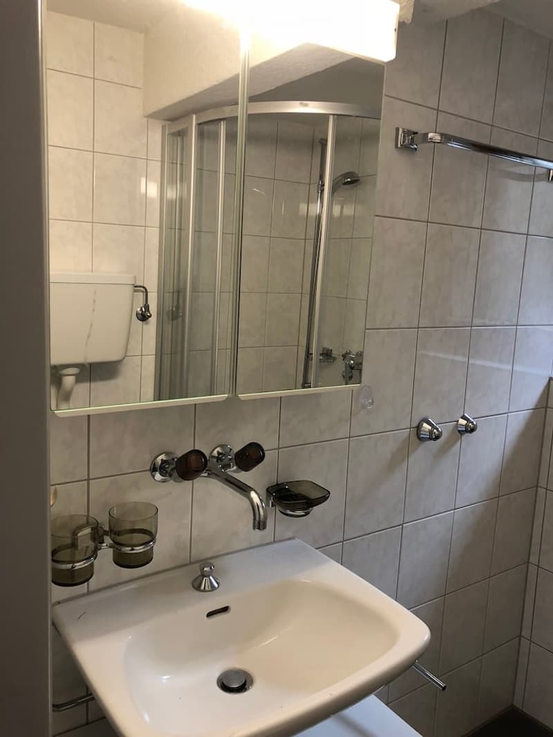 Tiled floor, shower with shower head, white ceramic sink, white toilet, mirror mounted on wall, tile wall