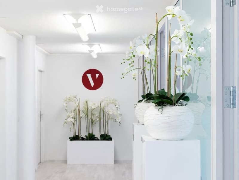 Clean, modern hallway with white walls, recessed lighting, and decorative white orchid arrangements in sleek white planters.