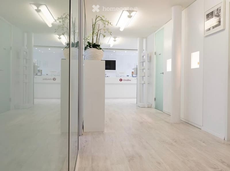 Modern, clean hallway with white walls, light wooden flooring, and recessed lighting. Features glass partitions, decorative plants, and a reception area visible in the background.