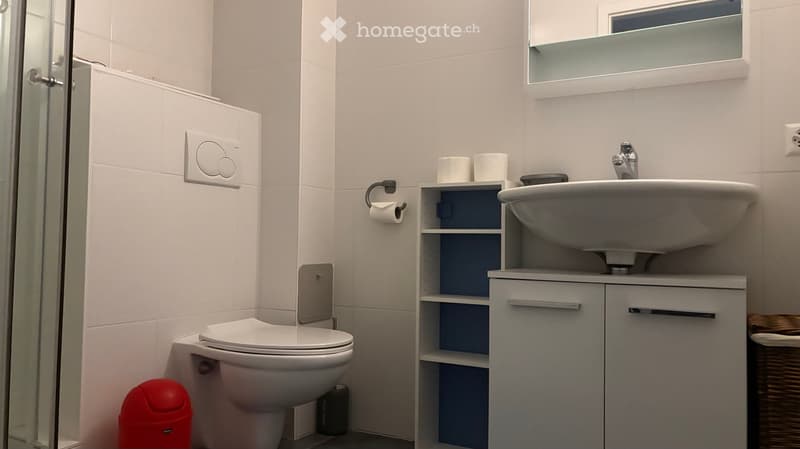 Modern bathroom with white tiles, a toilet, a sink with a cabinet, a mirror, and a glass shower enclosure.