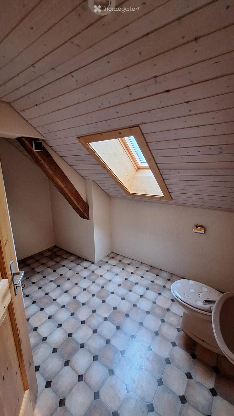 Bathroom with hexagonal tile floor, wooden ceiling, skylight window, toilet, and bathtub.