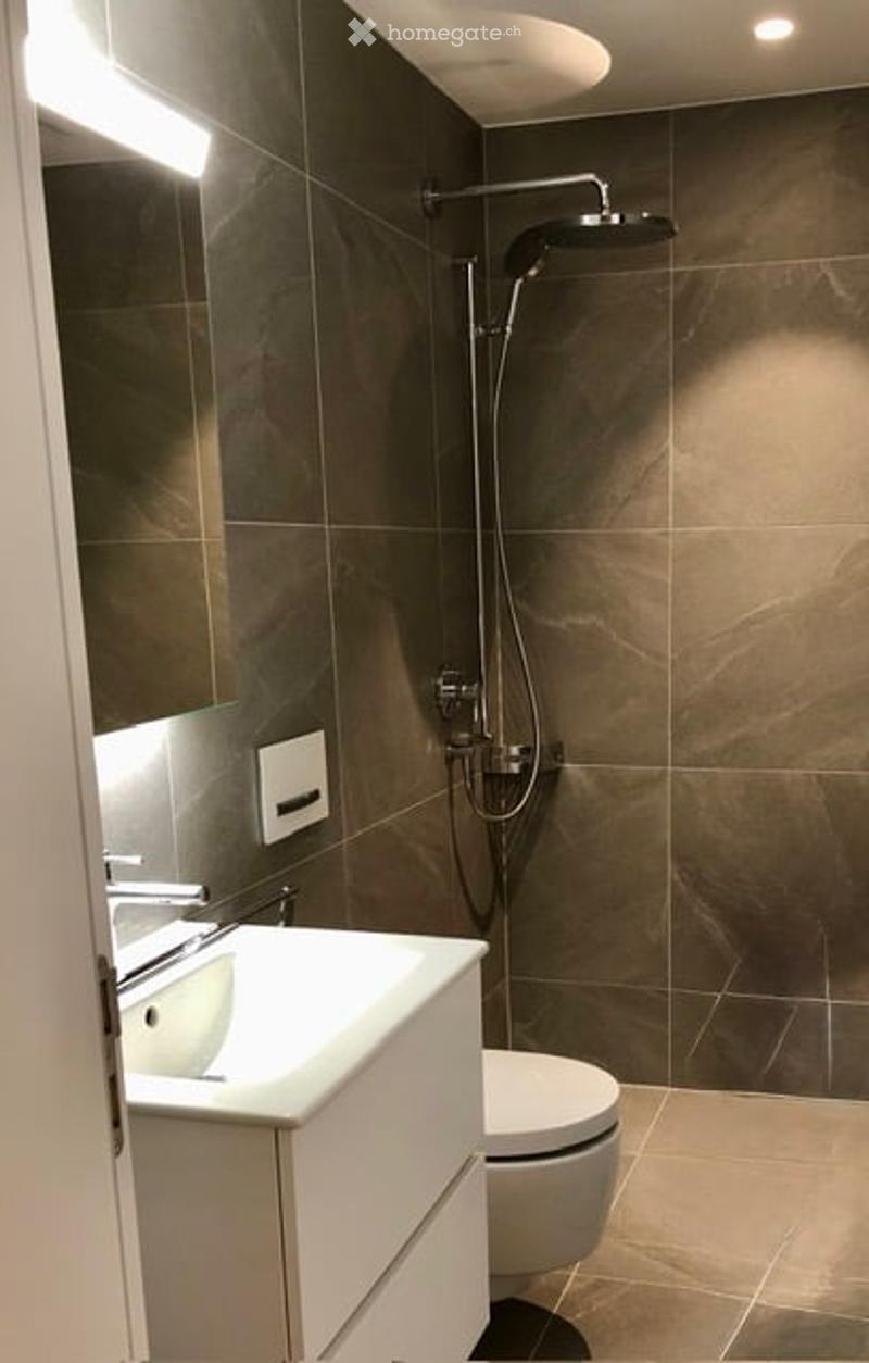 Modern bathroom with dark brown tiles, white sink, toilet, and a showerhead with handheld sprayer.