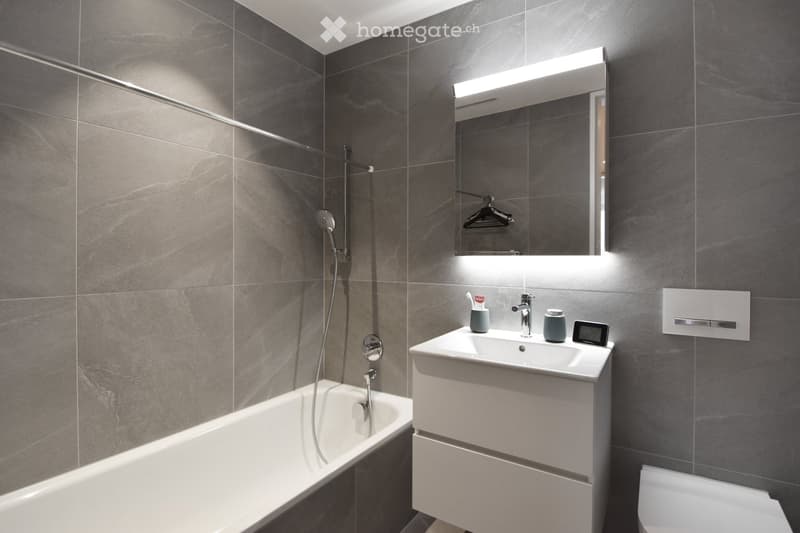 Modern bathroom with grey tiled walls, a white bathtub, a sink with a modern faucet, a mirror with built-in lighting, and a toilet. The sink has a toothbrush holder and toothpaste tube on it.