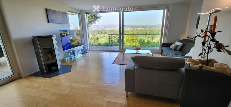 Modern living room with large windows offering a scenic view, featuring a grey sofa, armchair, coffee table, fireplace, television, and decorative items.