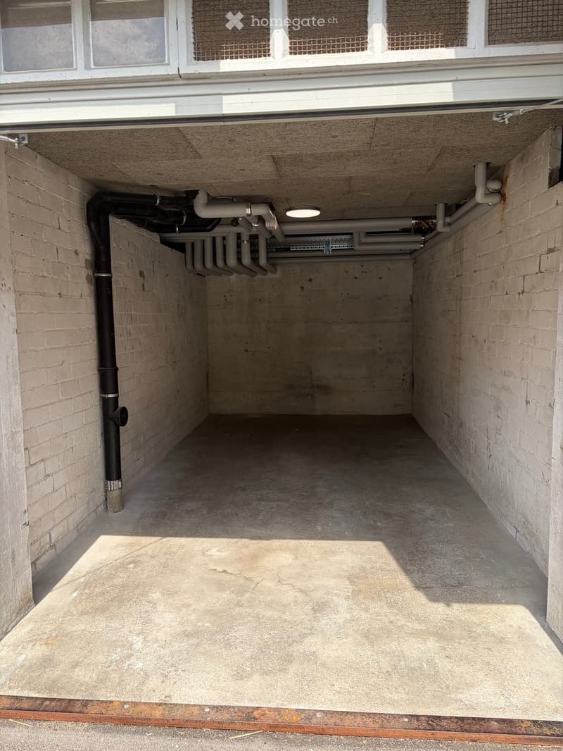Empty garage with concrete floor, brick walls, exposed pipes, and a single overhead light fixture.