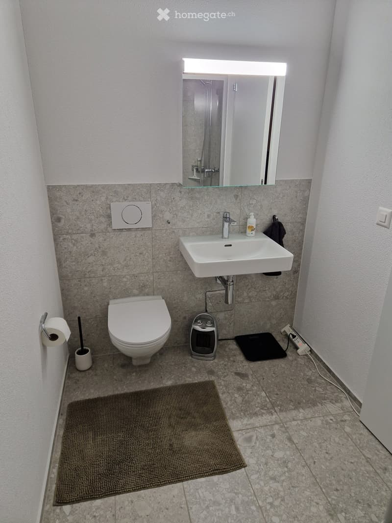 Modern bathroom with a toilet, sink, mirror, and various accessories including a bath mat, electric heater, and power strip.