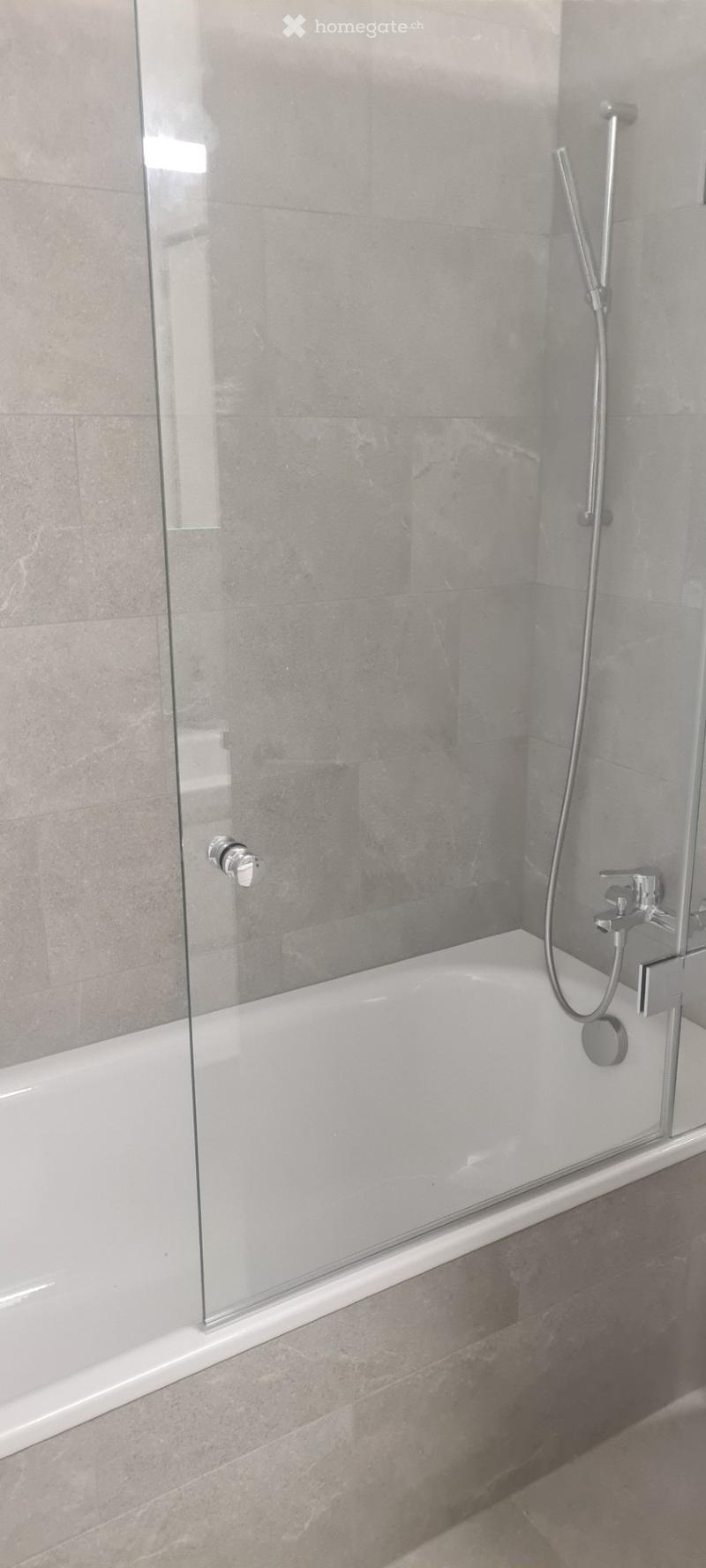 Modern bathroom with a bathtub enclosed by a glass shower screen, featuring a sleek chrome faucet and showerhead.