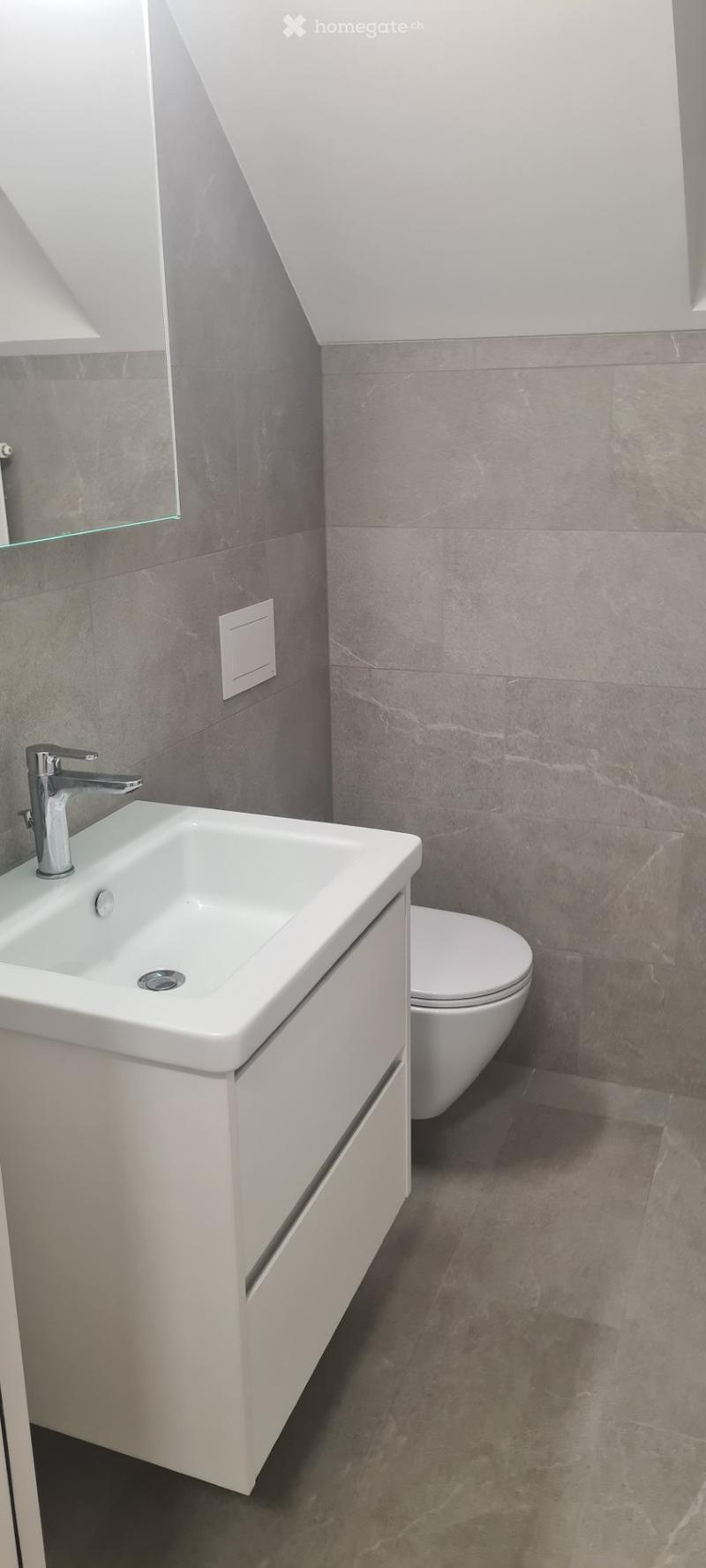 Modern bathroom with a white sink, chrome faucet, toilet, and a large mirror. The walls and floor are covered in grey tiles.
